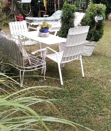 Altes Winzerhaus 公寓 *